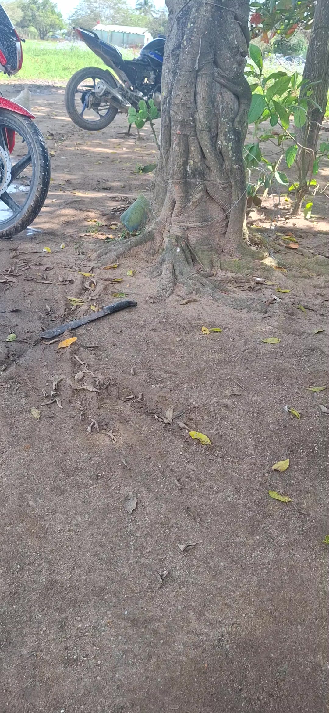 @😶&zwj;🌫️🥷..A.A.C..🥷😶&zwj;🌫️