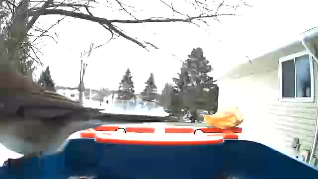 @Любопытно