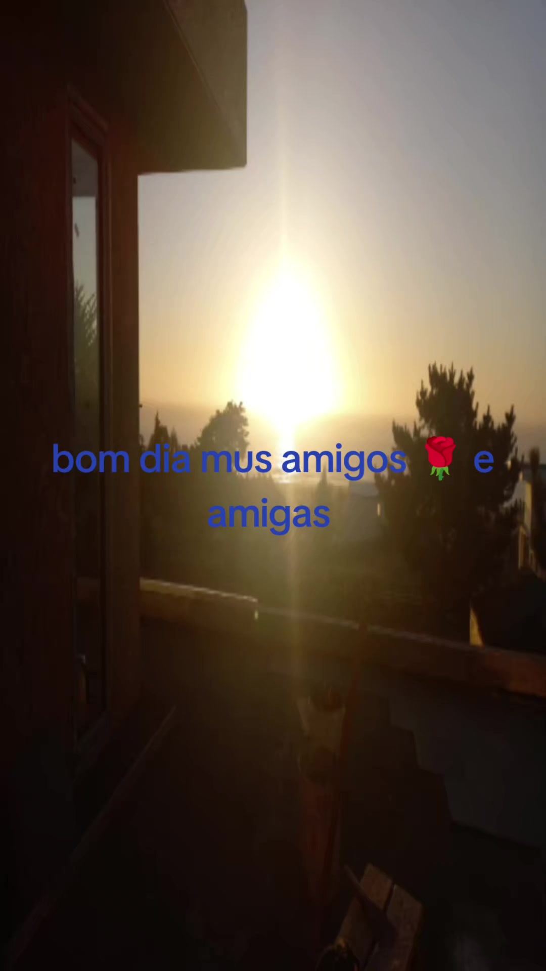 @Gilmar Ferreira 13791