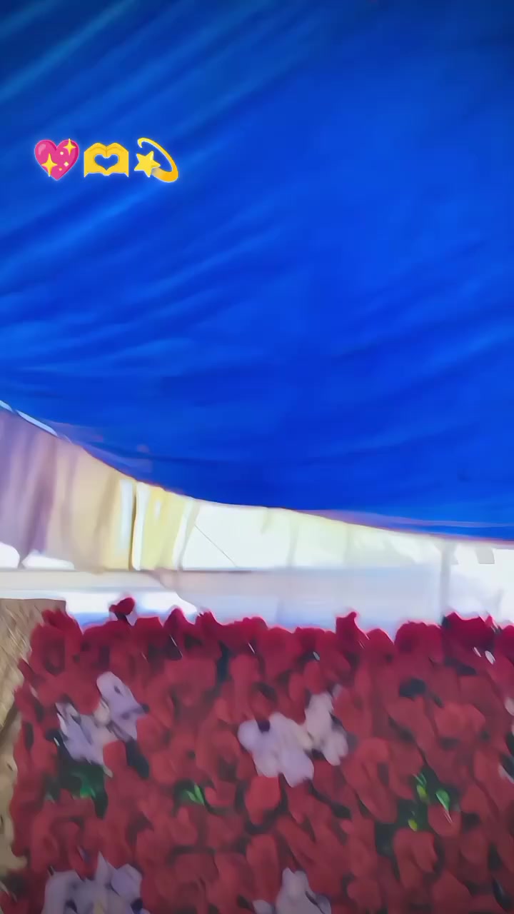 @SajidRajpout😈🫡