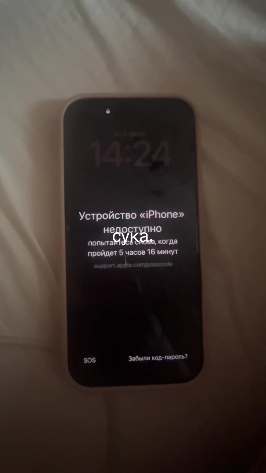 @соня я