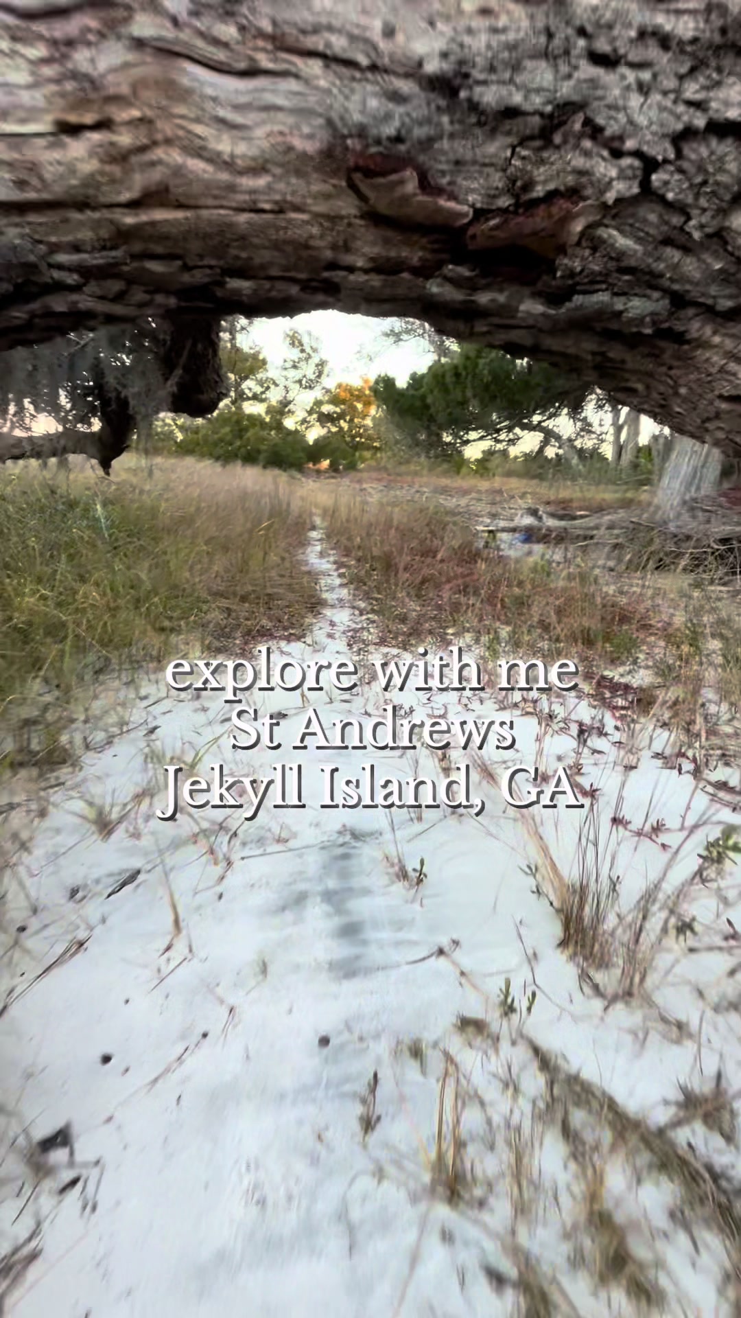 @Jekyll Island Nature Girl