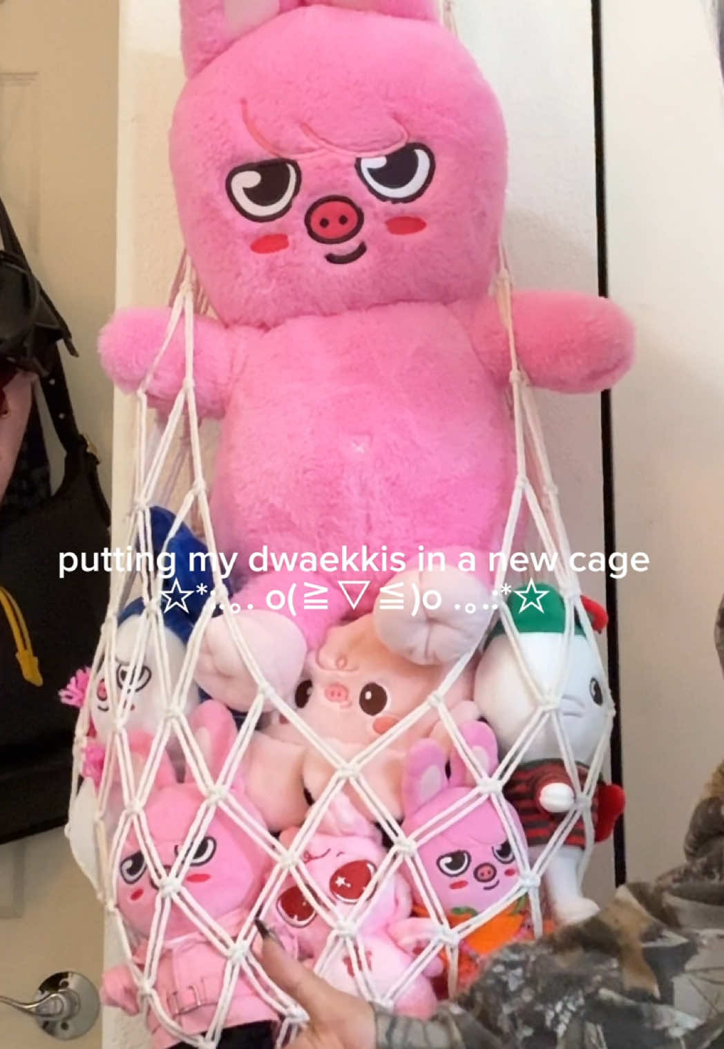 @gabby 🌷