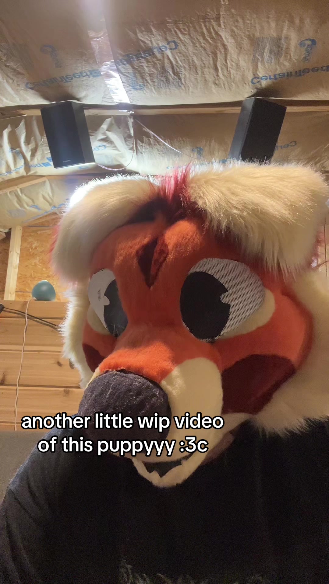 @slugpup_