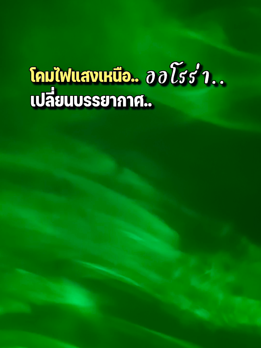 @ต้นมะตูมช๊อปปิ้ง