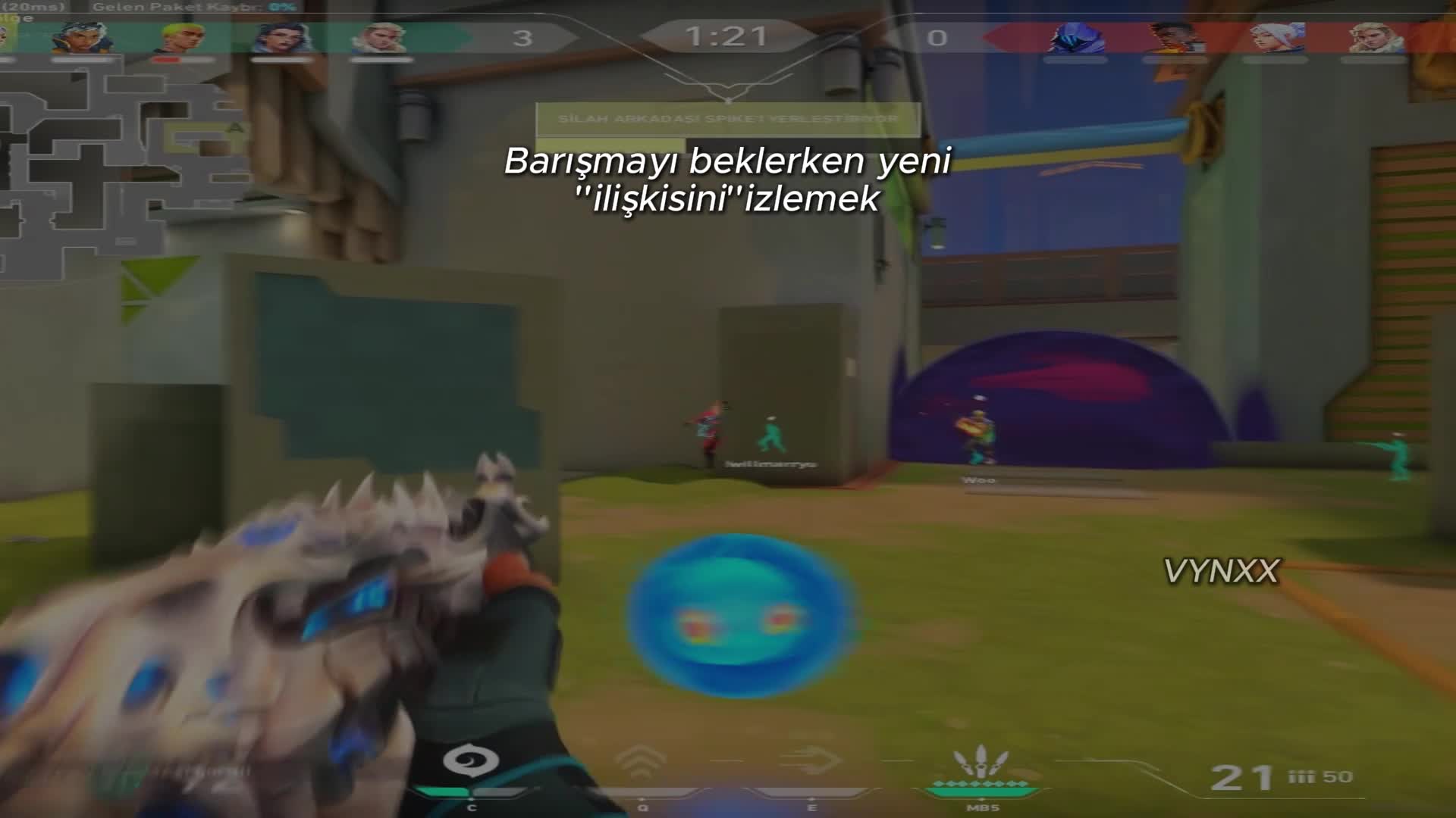 @vynxx.vll