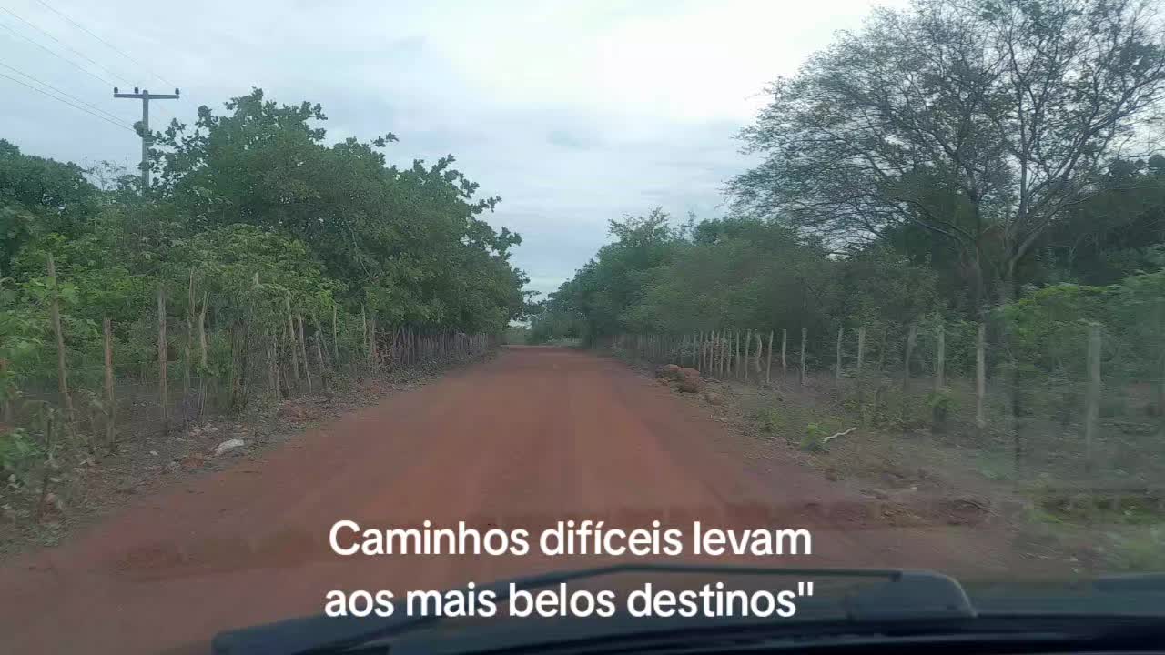 @Celane Carvalho