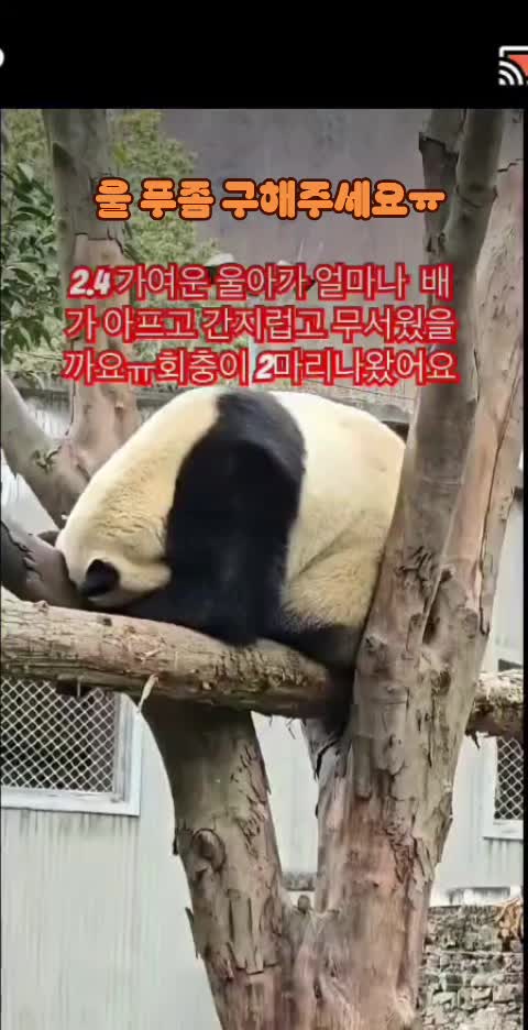 @반짝이는비니♡