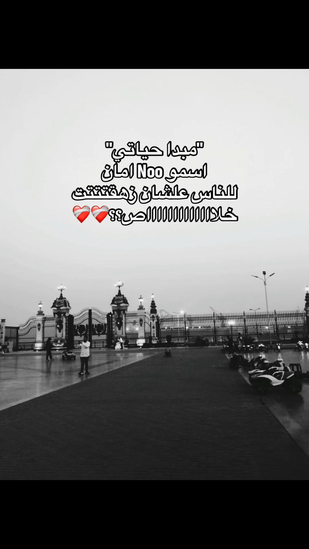 @✨💗🕷بنت بورسعيد🕸💗✨