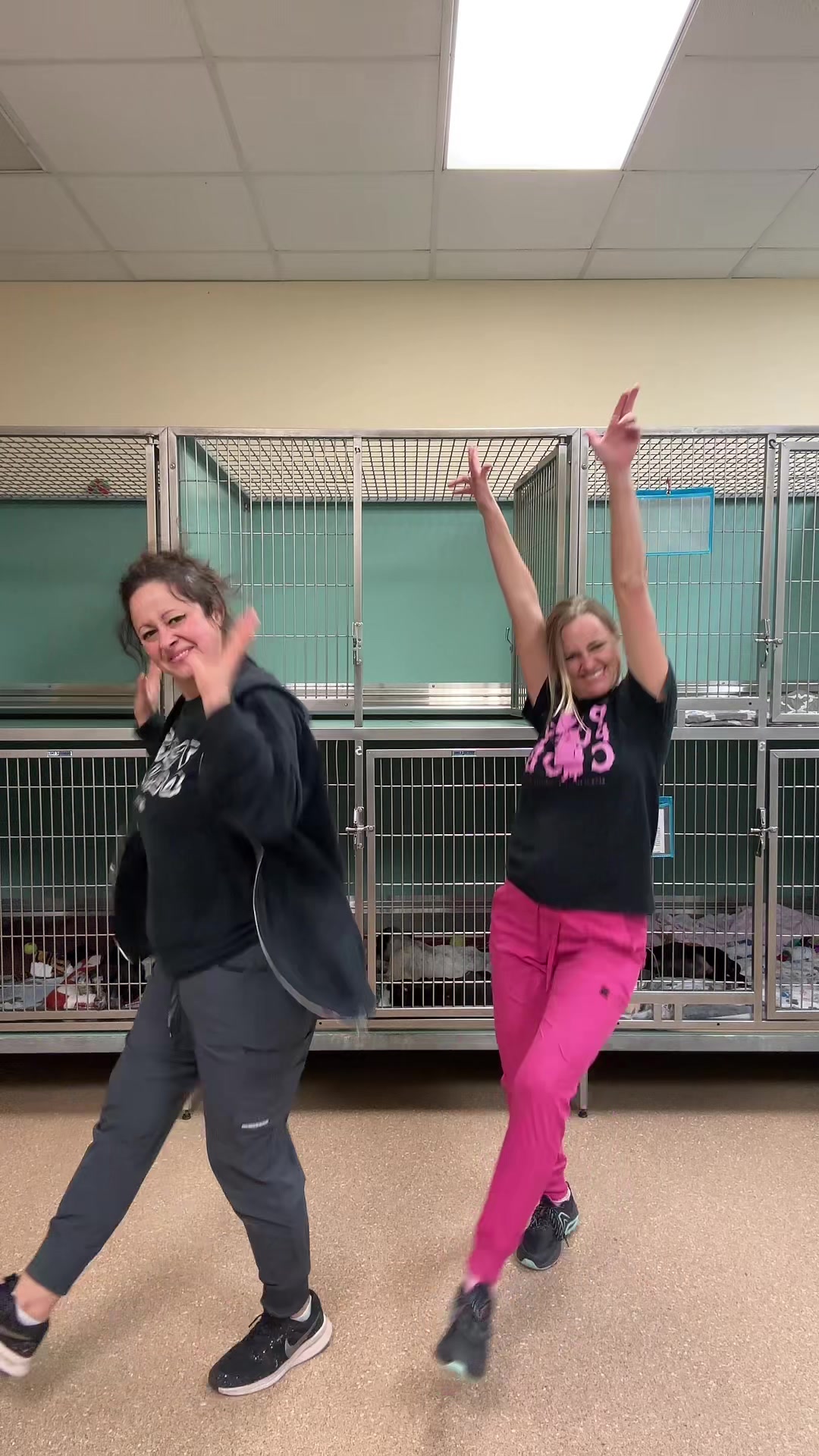 @2vettechs