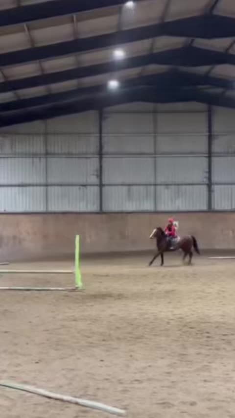 @Amelia ✝️🐴