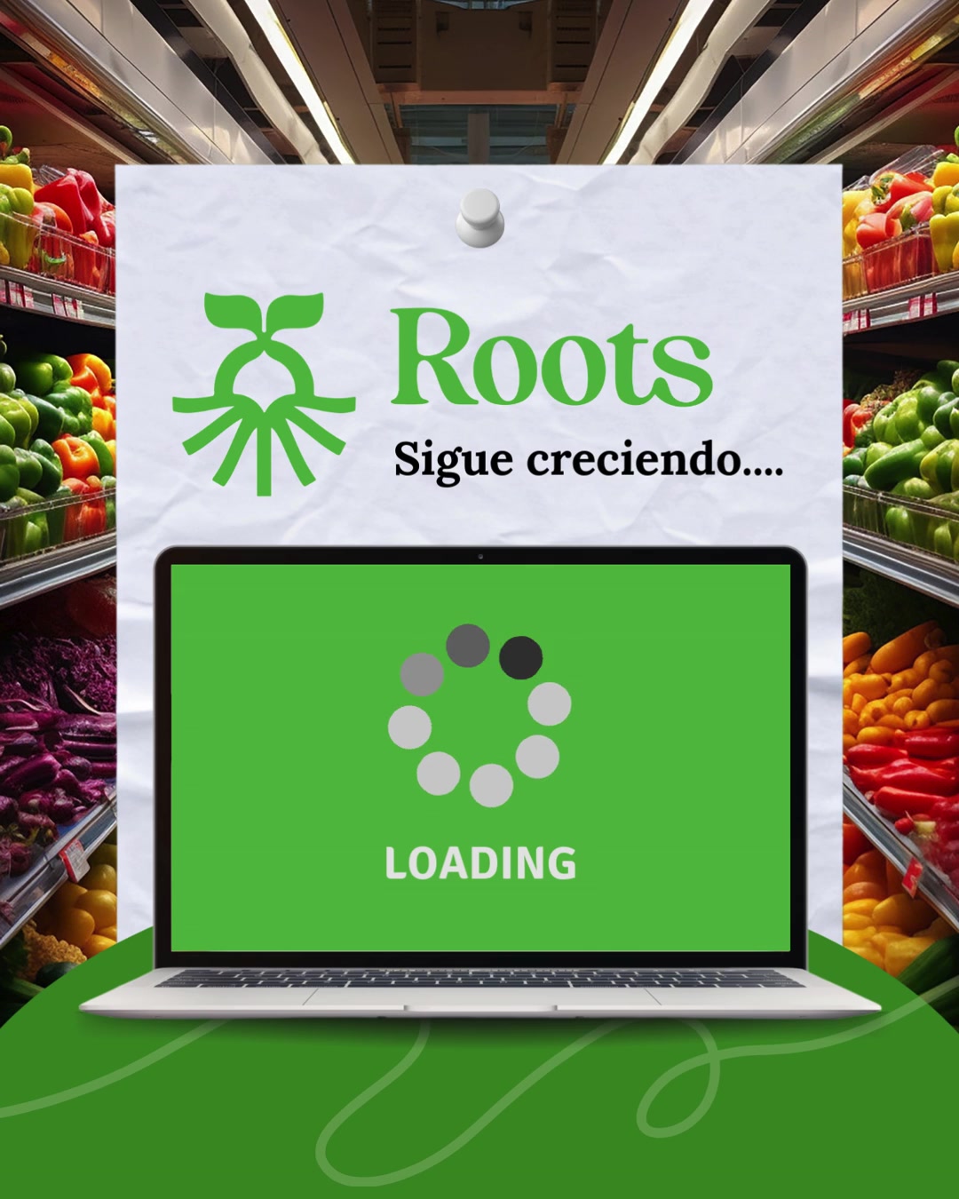@Rootsmarket.mx