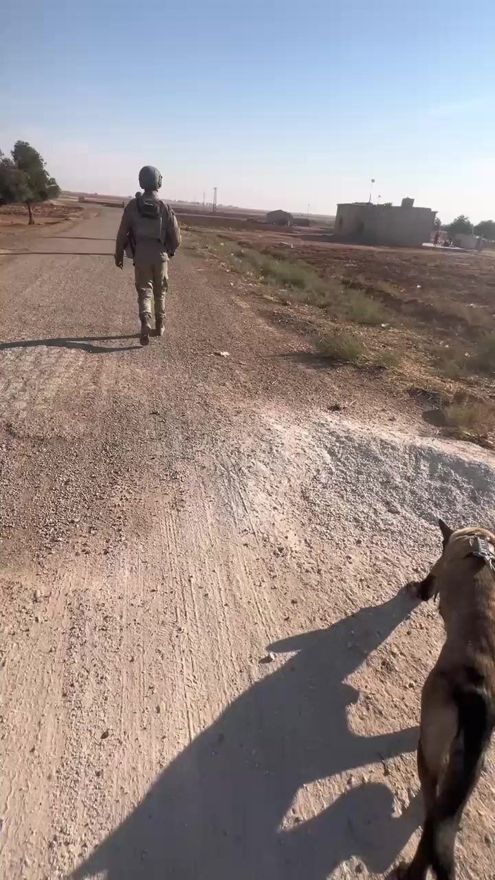 @DADAŞ