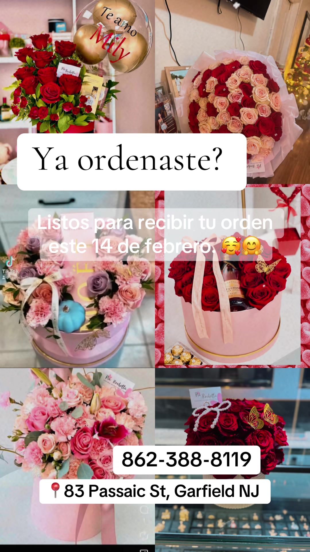 @PíaRochetta