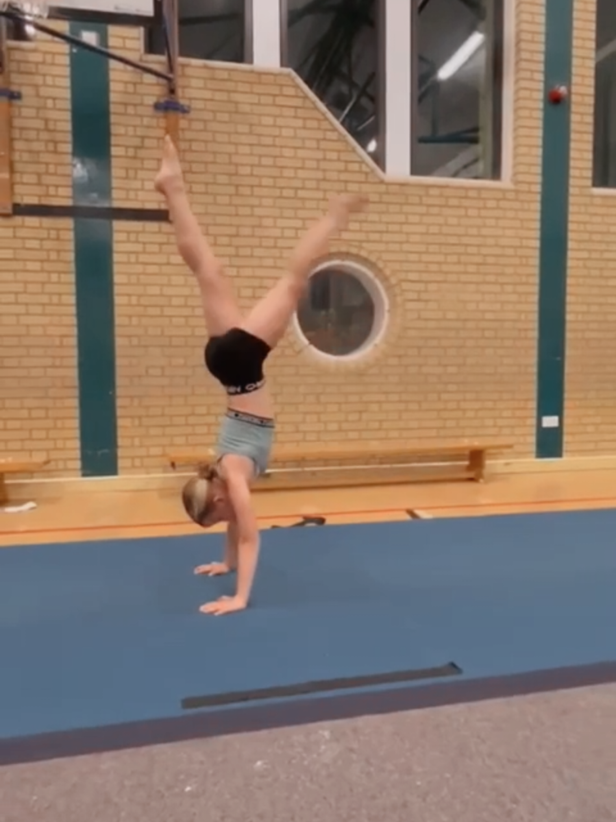 @Falcon Gym