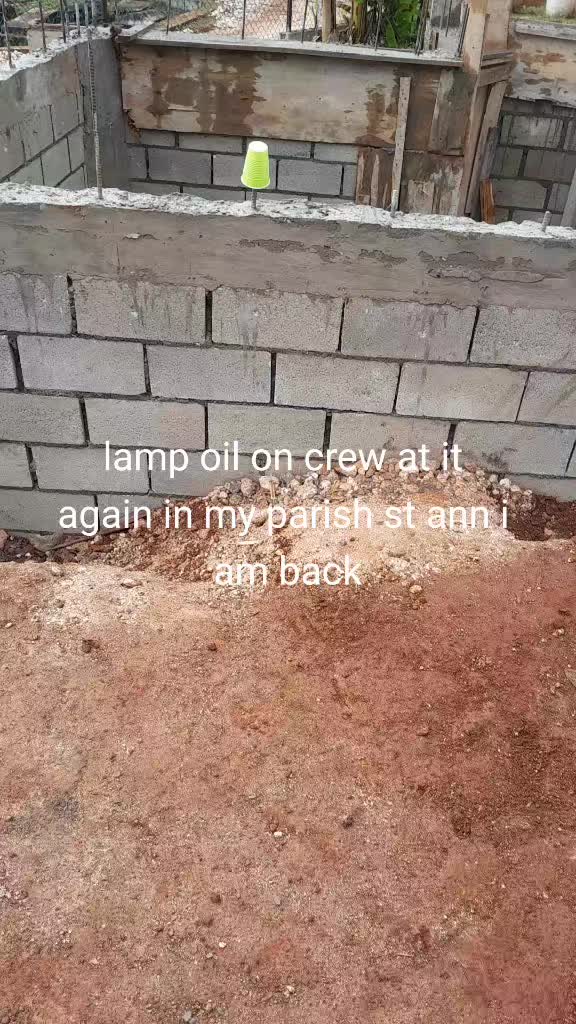 @Sheldon Brian Wil278lamp oil