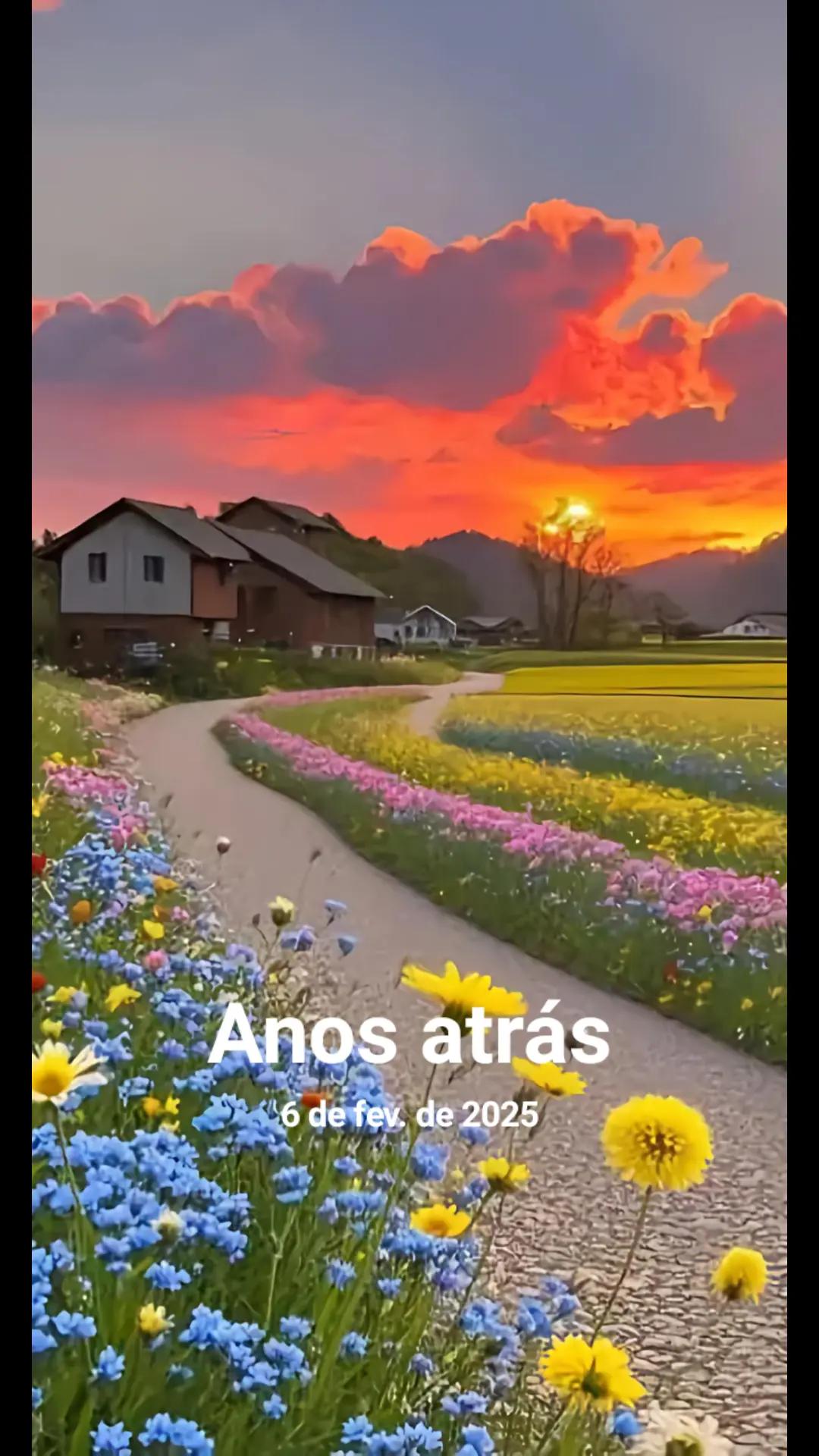 @Fernando Sampaio