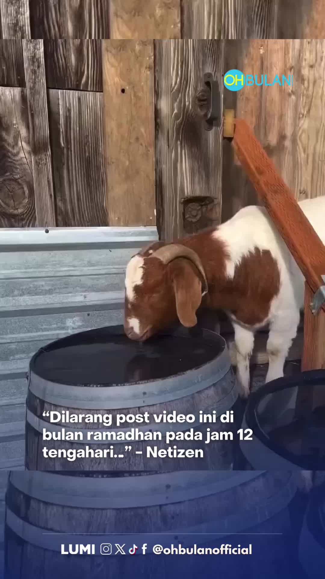 @OHBULAN!