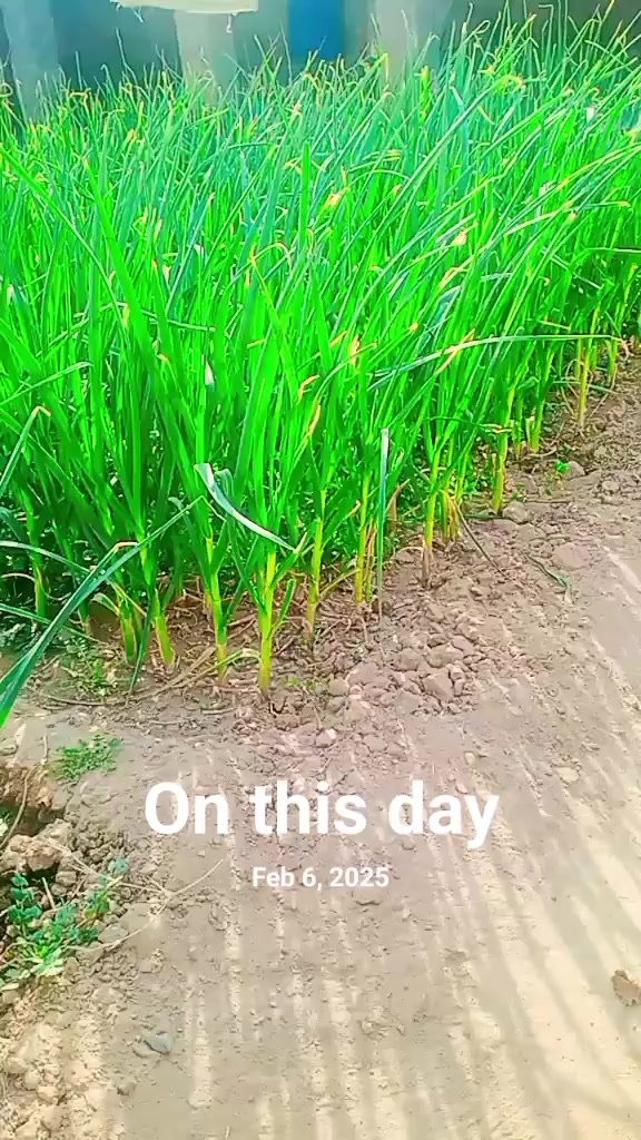 @🫀🥰انت الحیات 😘🫀