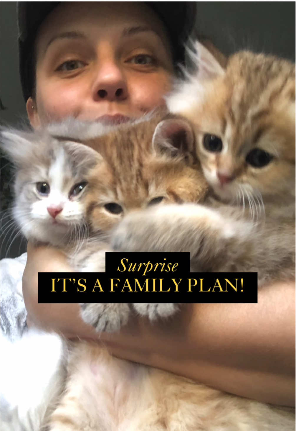 @penka_and_kittens
