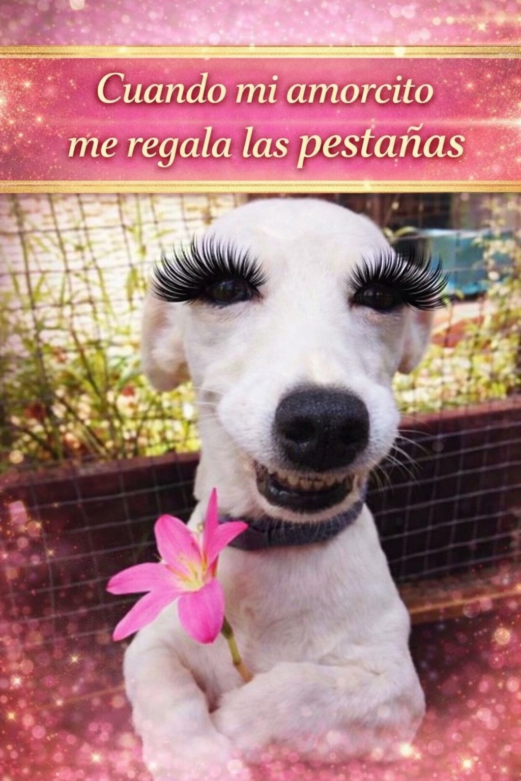 @@rekoketas