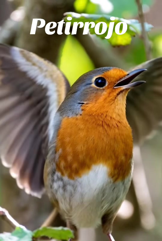 @Fauna Mundial