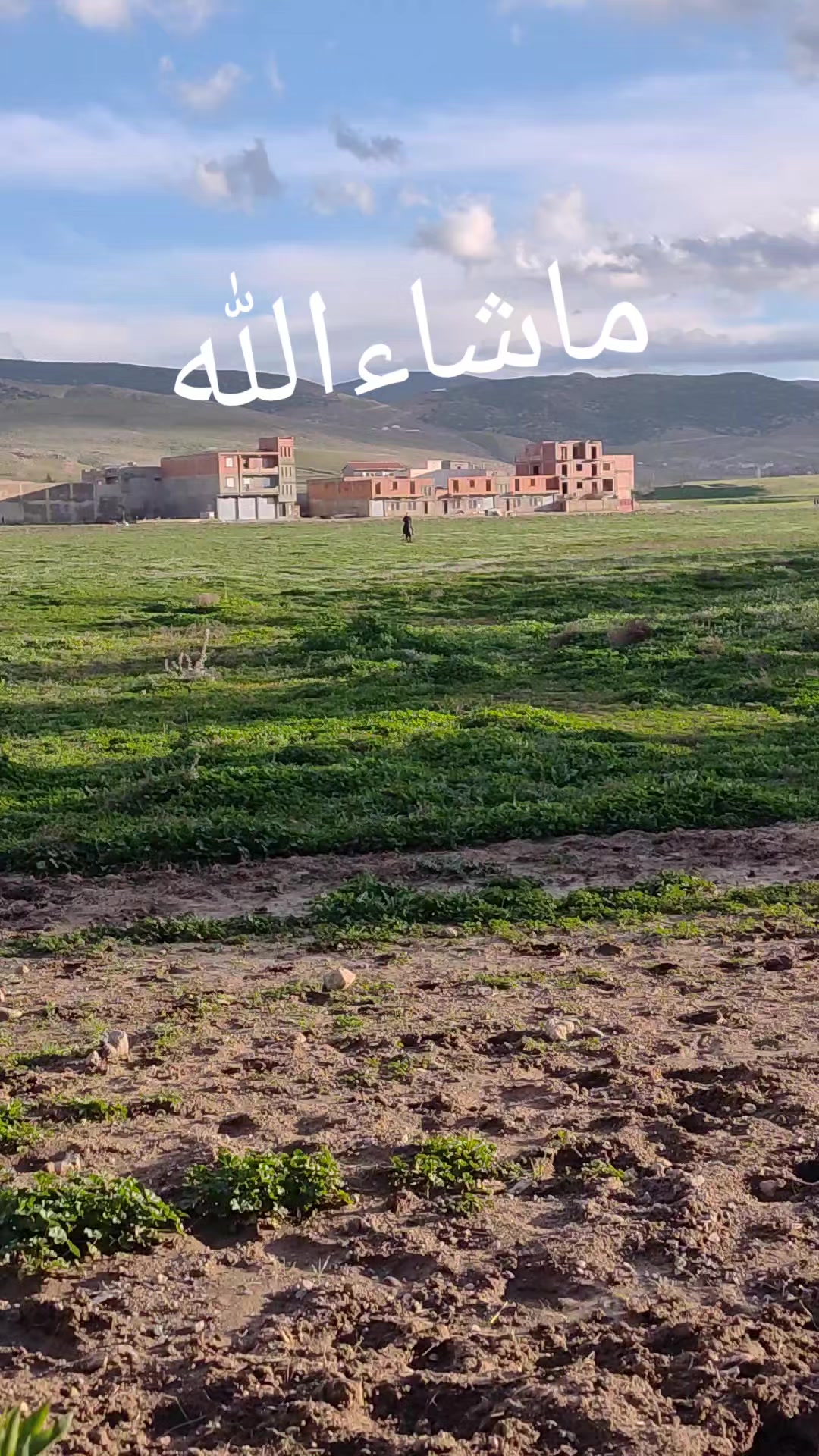 @Nour Noor