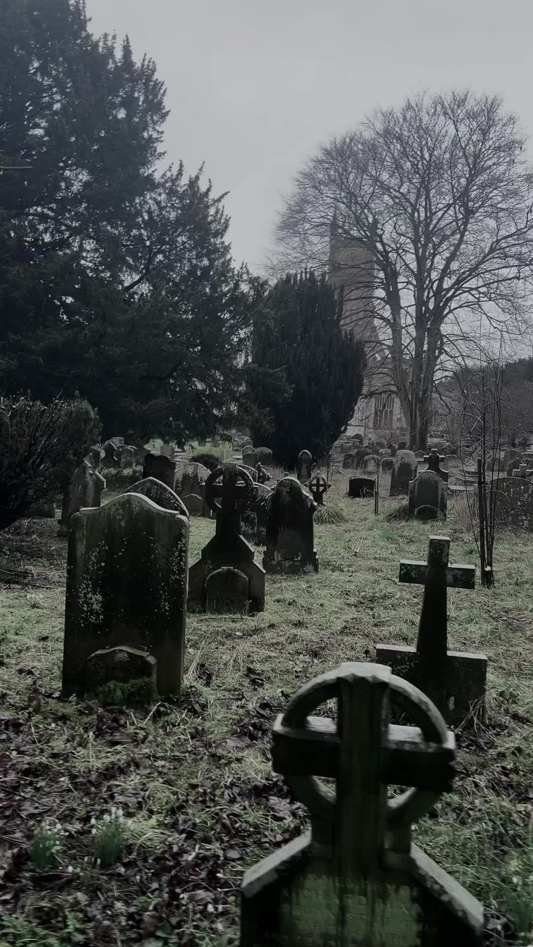 @𝐸𝓂🕸️