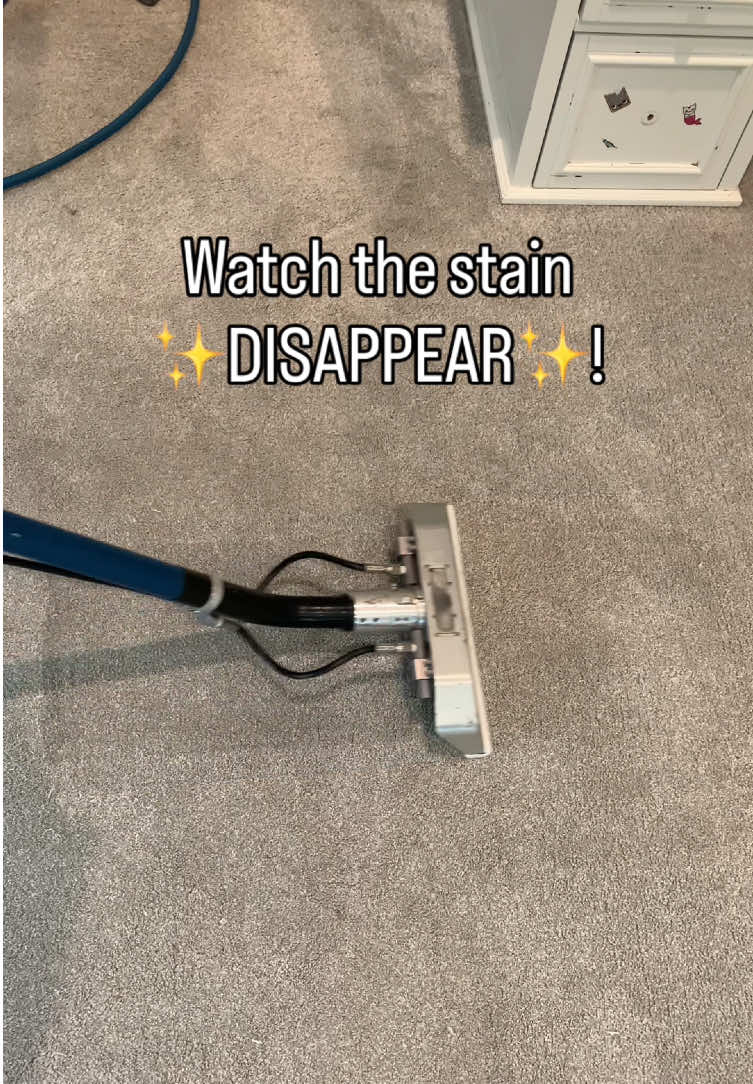 @Carpet & Rug Cleaning