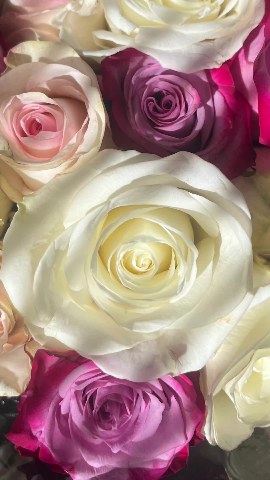 @PreciosaEl
