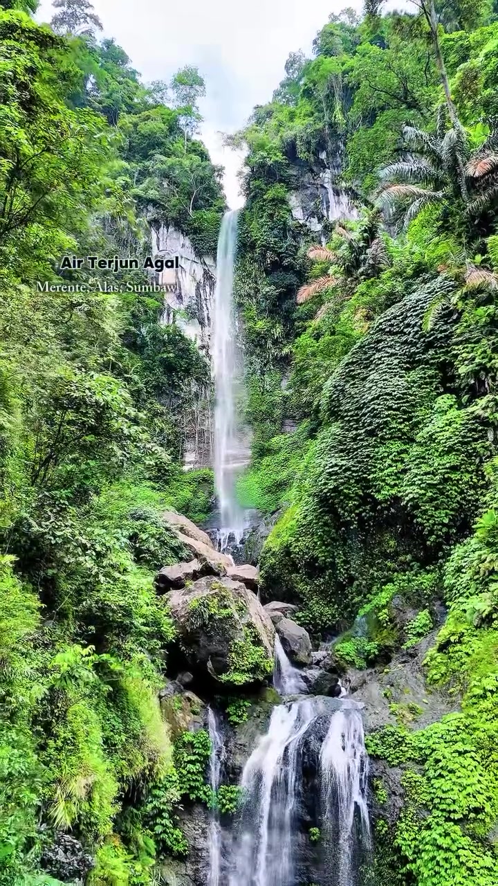 @ajifoetuna
