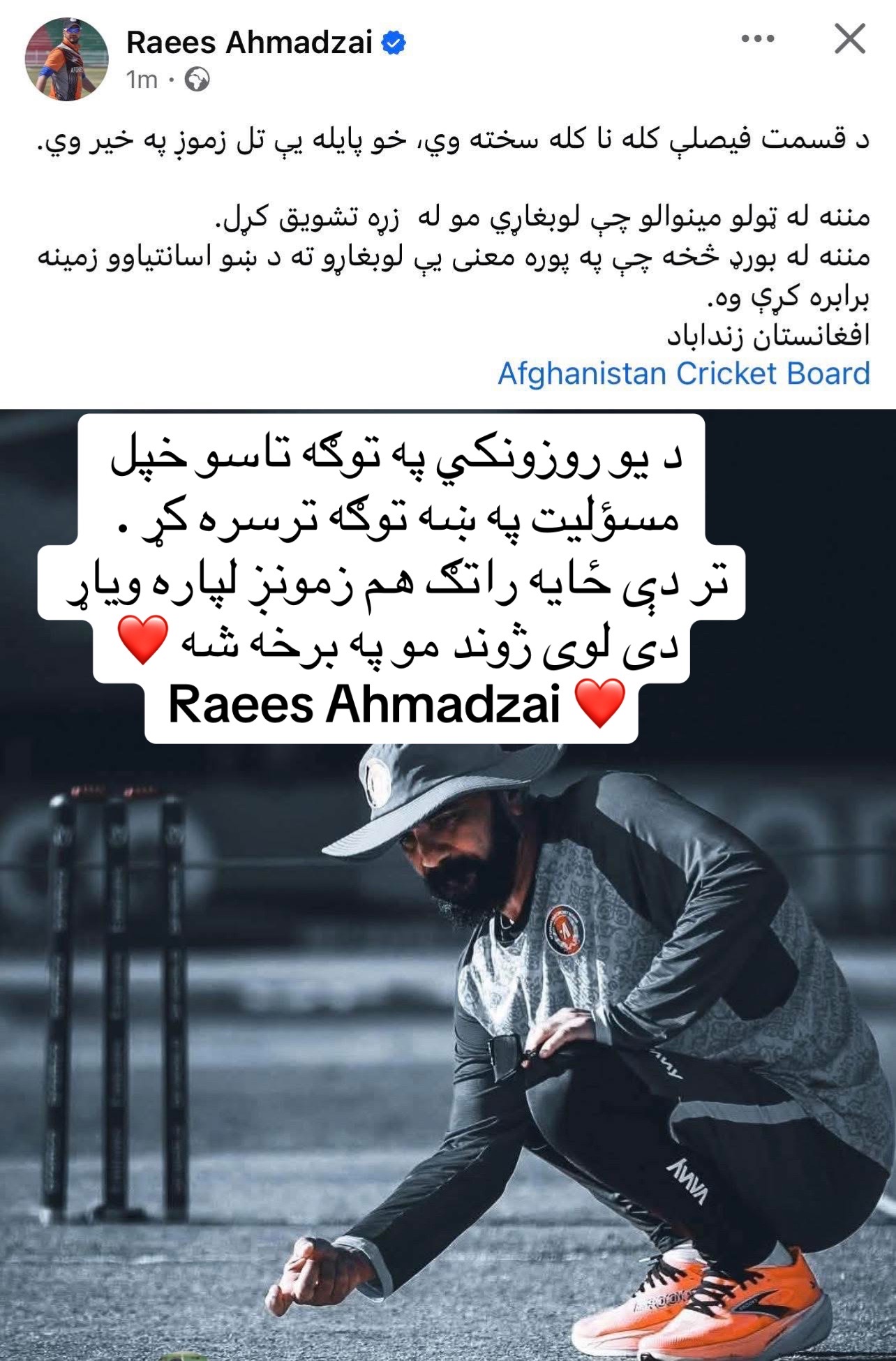 @wazhma Ayoubi