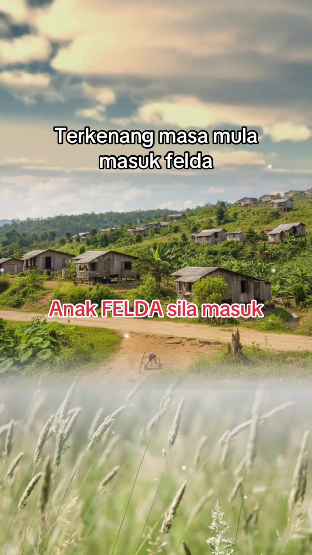 @Nazarna Adam