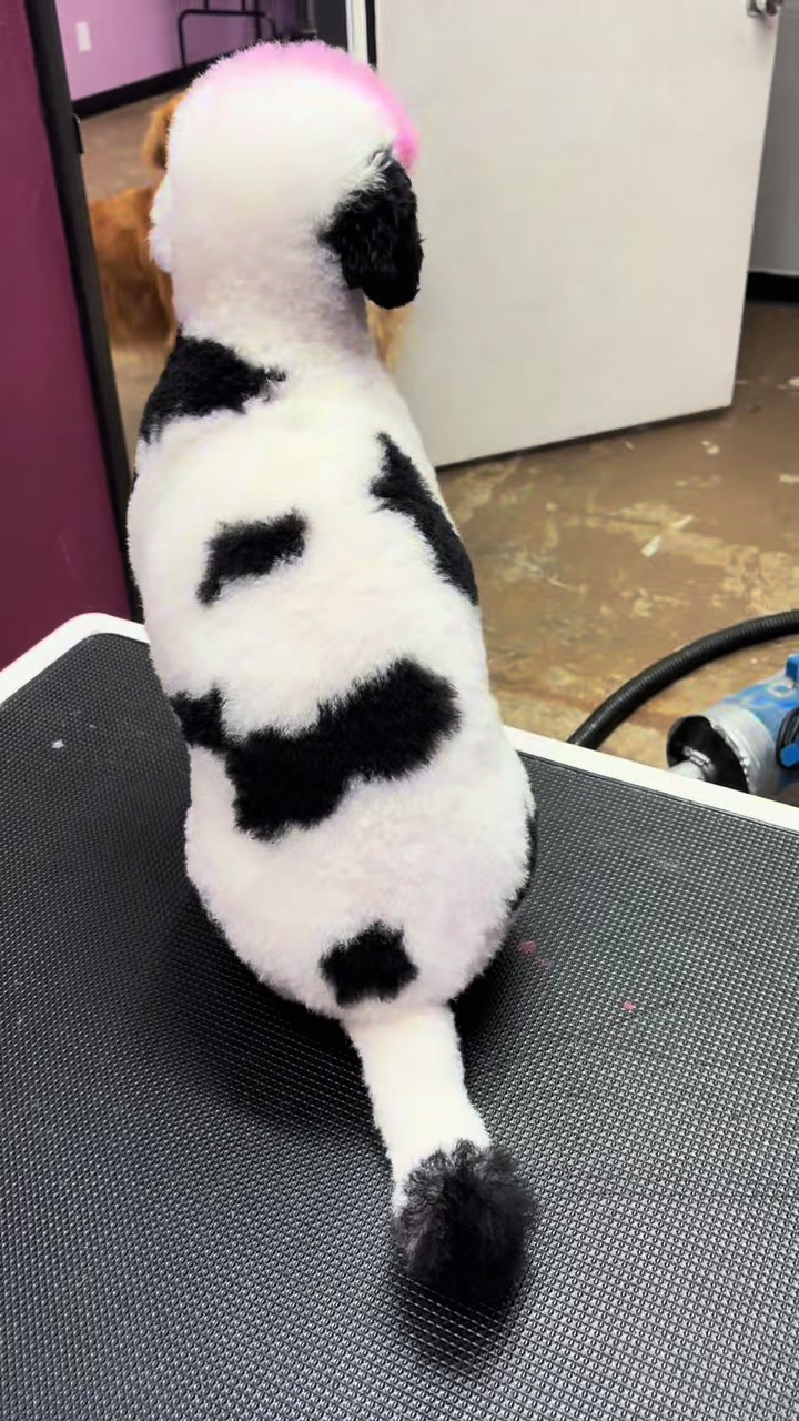 @𝐈𝐧𝐭𝐡𝐞𝐑𝐮𝐟𝐟