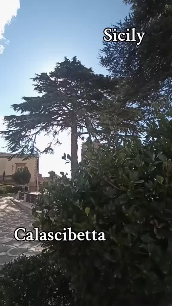 @SICILY