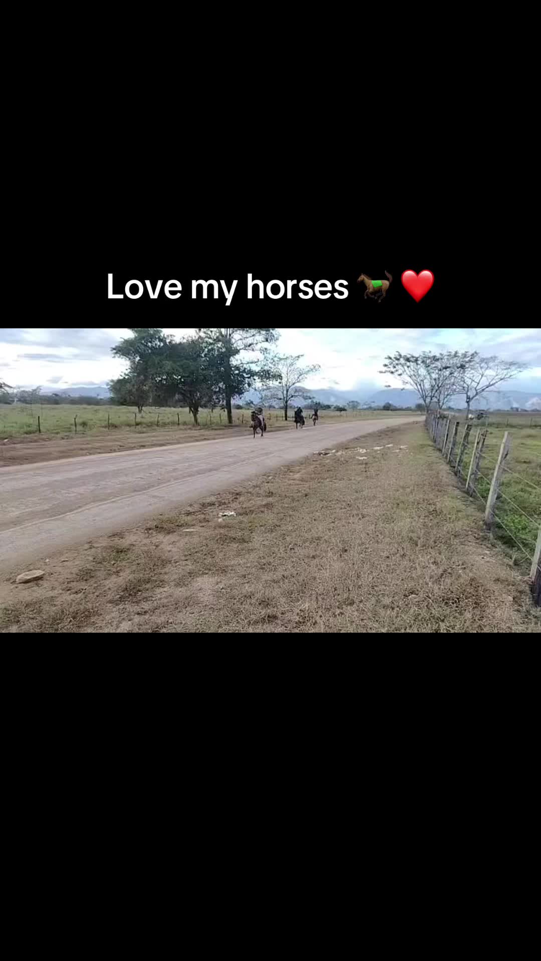 @Caballo loco 77