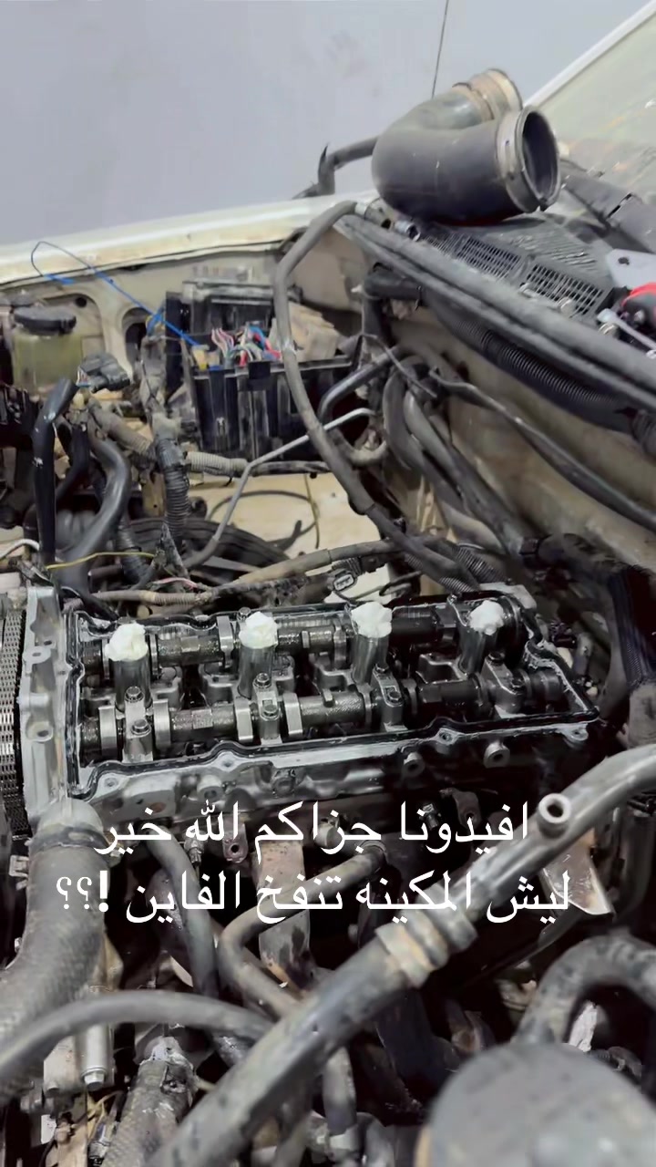 @مختار الكلمه