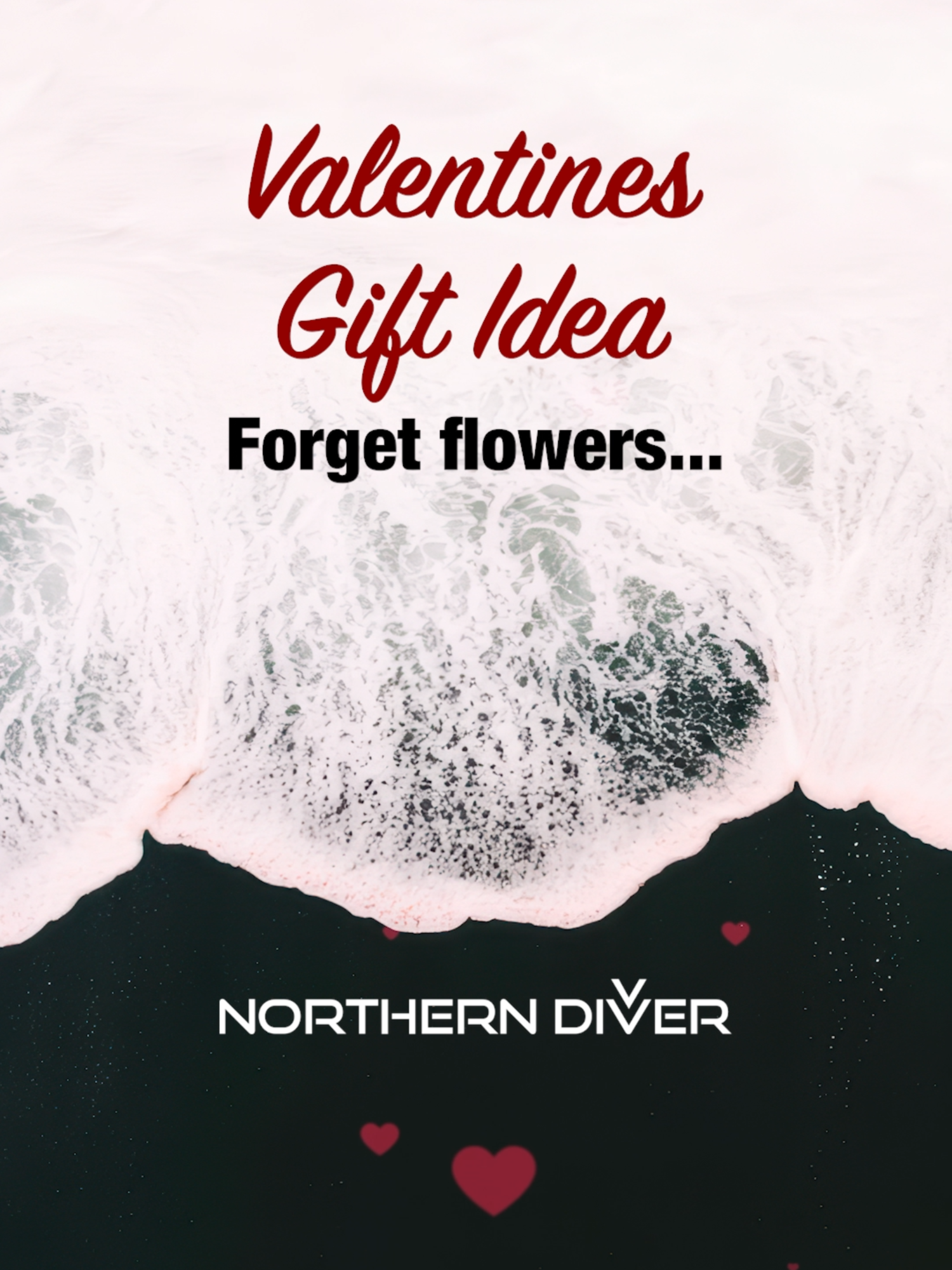 @Northern Diver