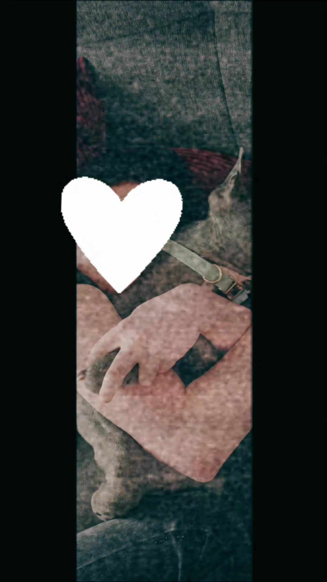 @Babsy