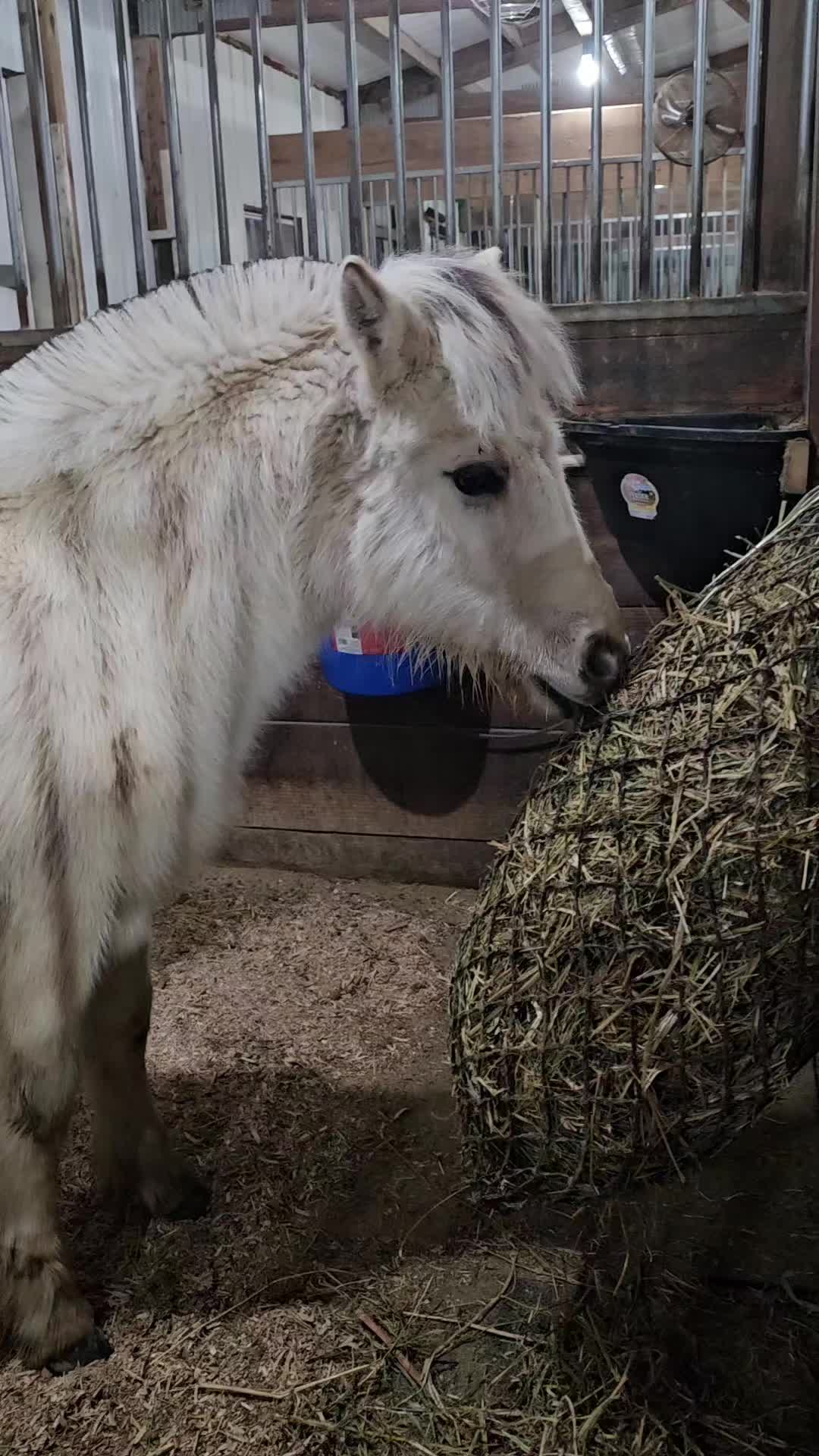 @Kismet Farm Crew