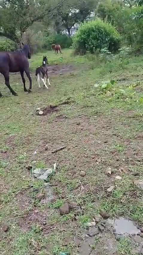 @Jos&eacute;&ensp;Carlos