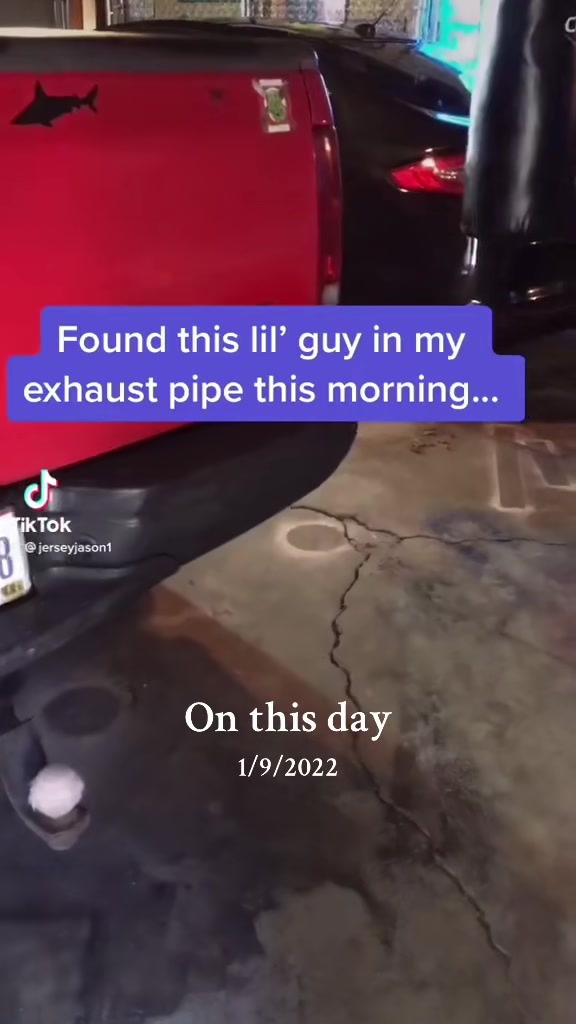 @Jerseyjason2