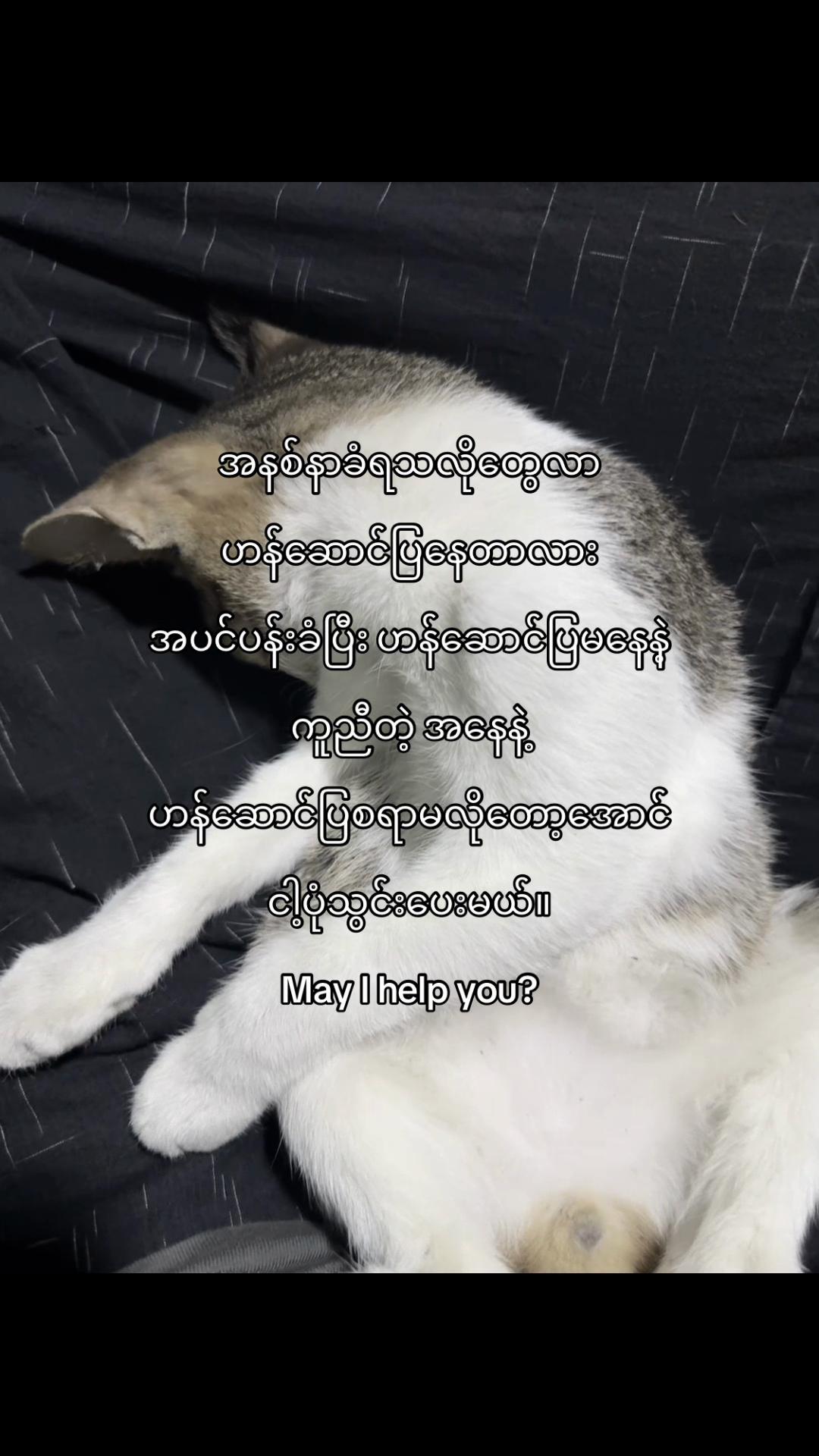 @️Tay
