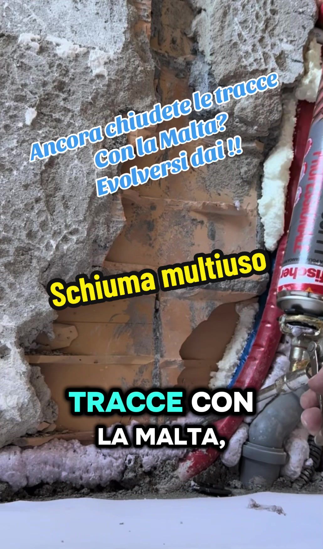 @Alessandro Cuomo ♌️