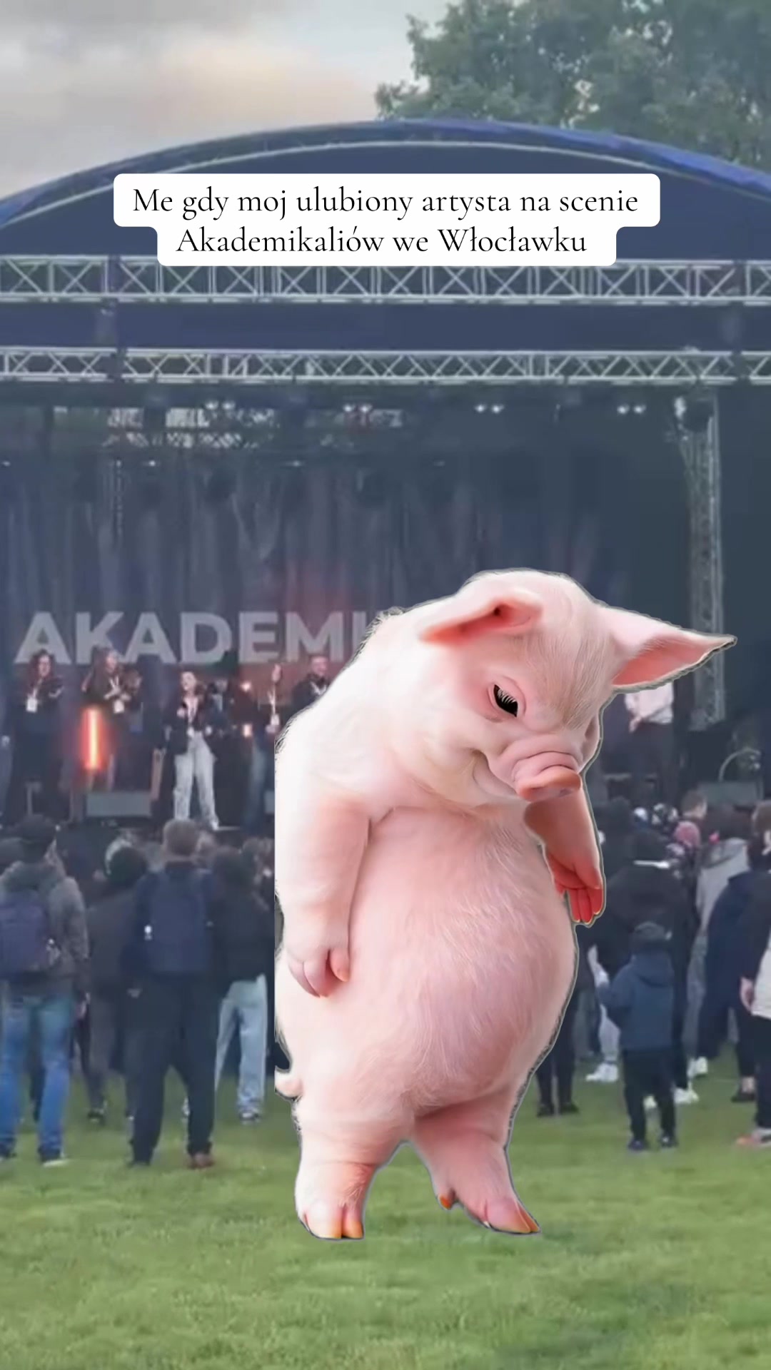 @Samorząd Akademii Włocławek