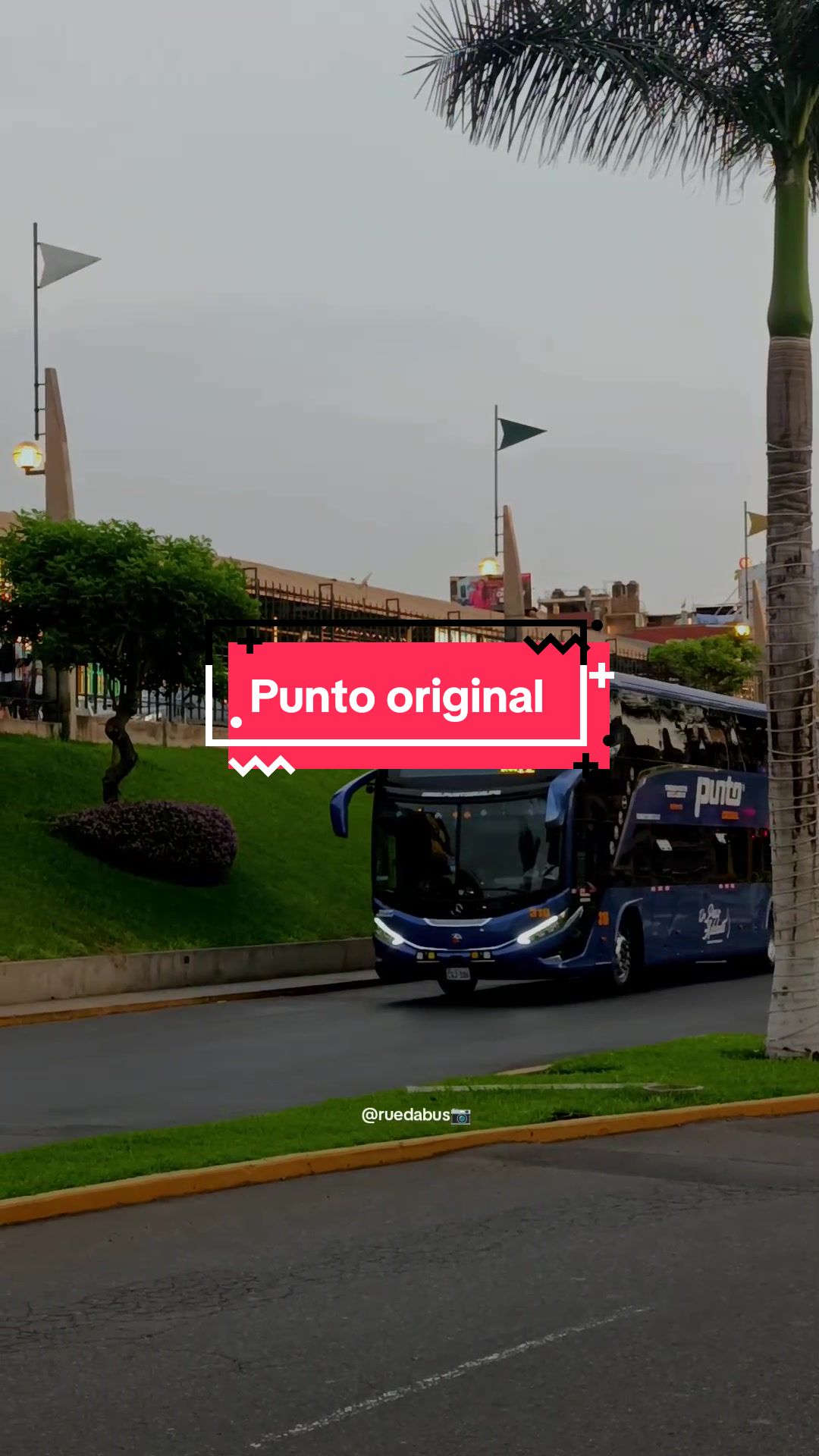 @Rueda Bus 🚎