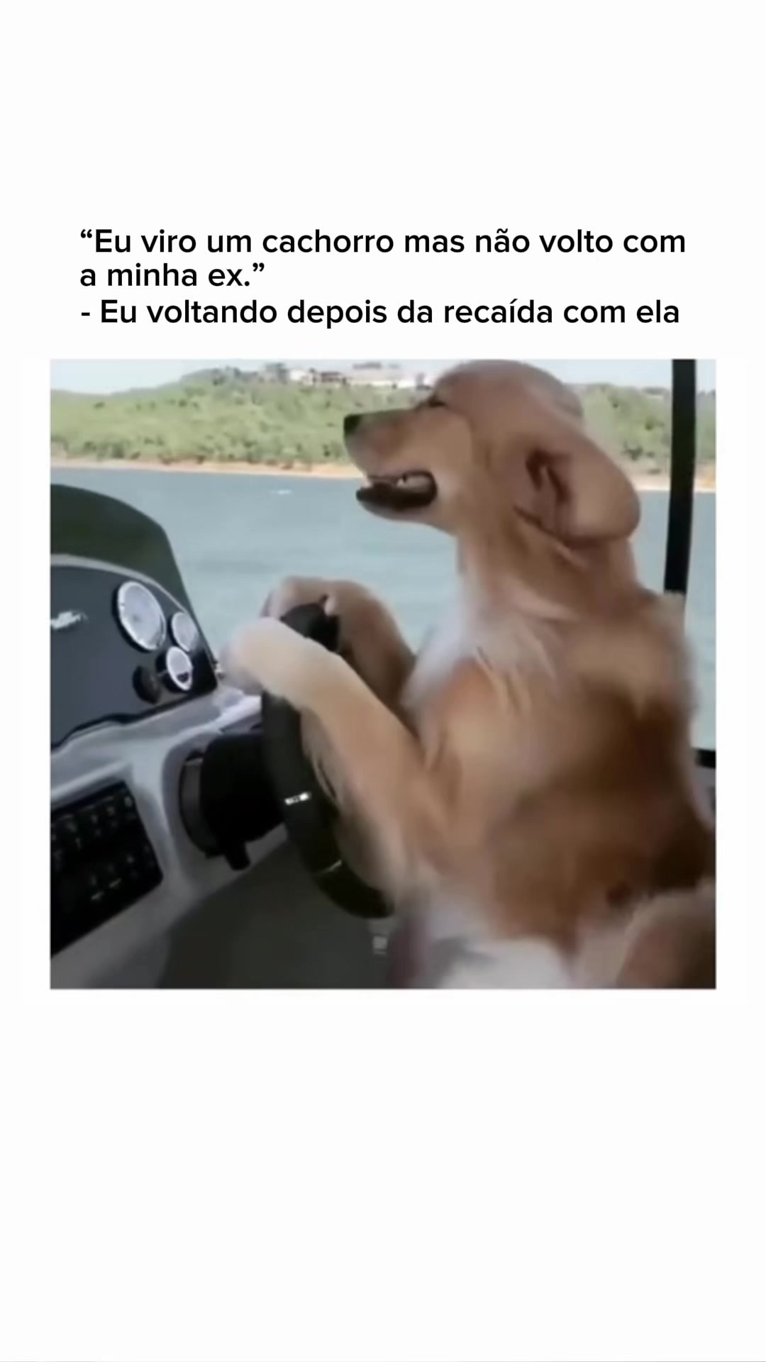 @Thiago Carvalho