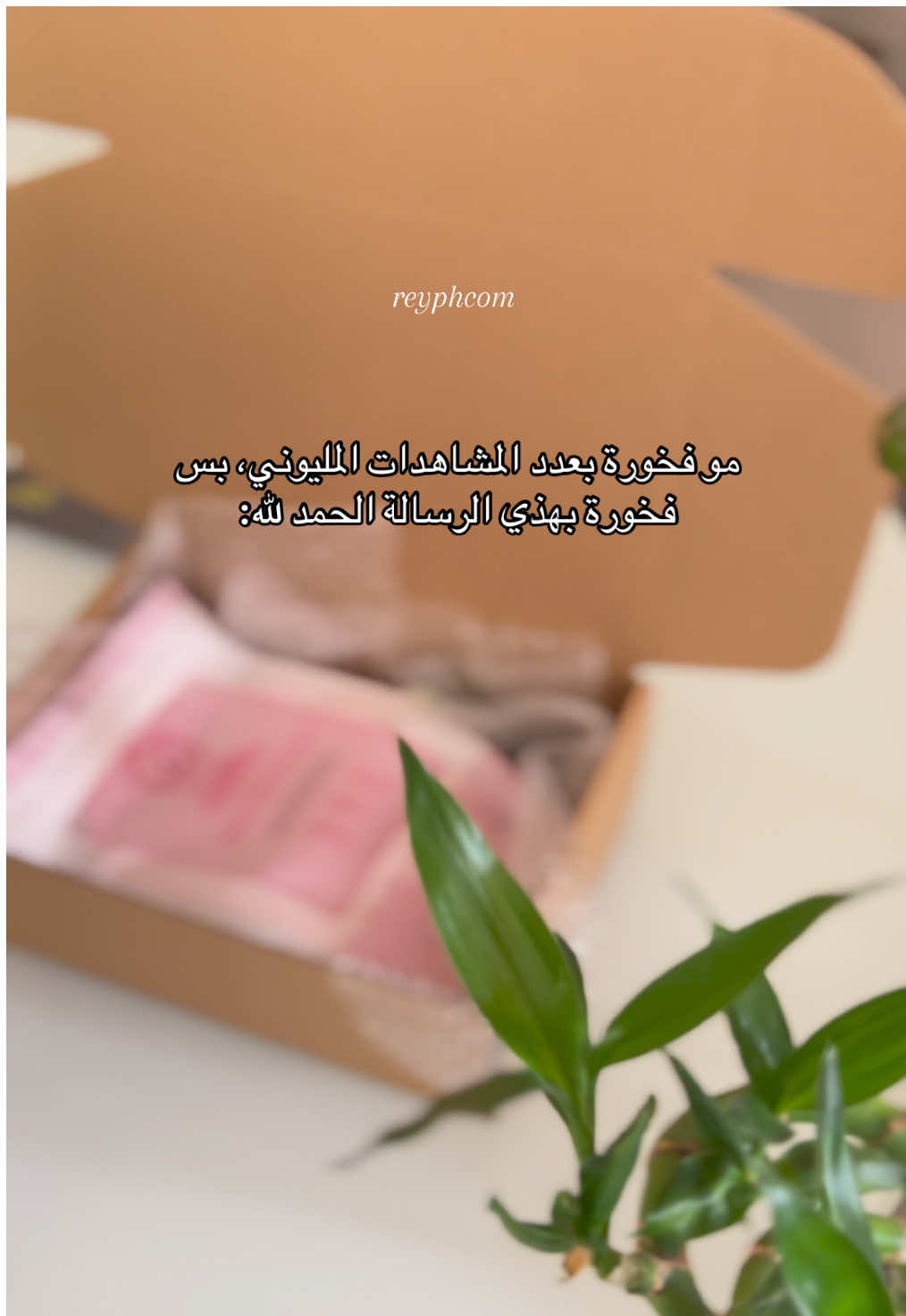 @Rey by Amal