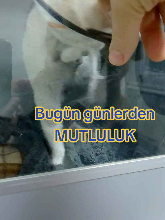 @Bahriye Ben