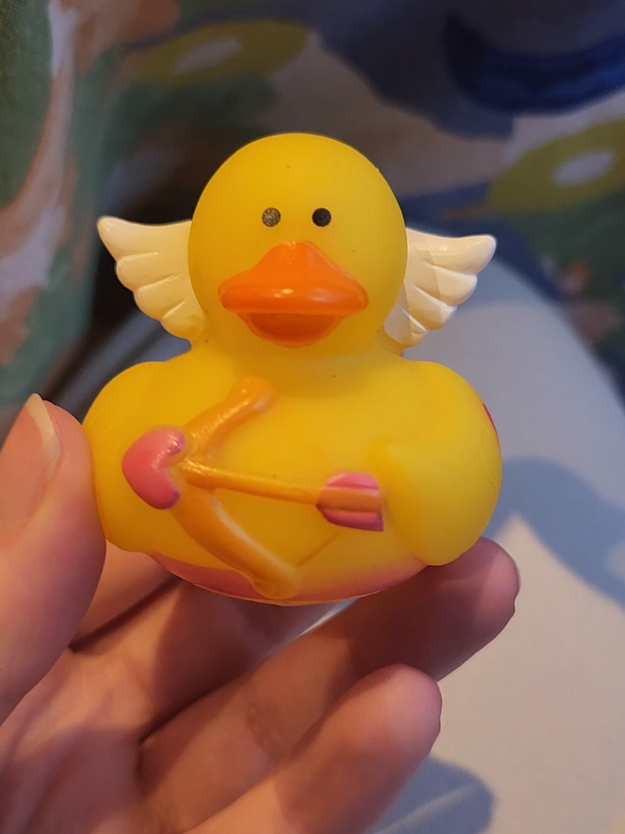 @Lord of the Ducks